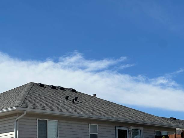 Best Roof Insulation Installation  in Bethalto, IL